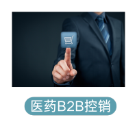 B2B控销自营商城